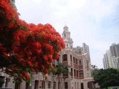 香港中文大学